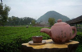 茶葉世界