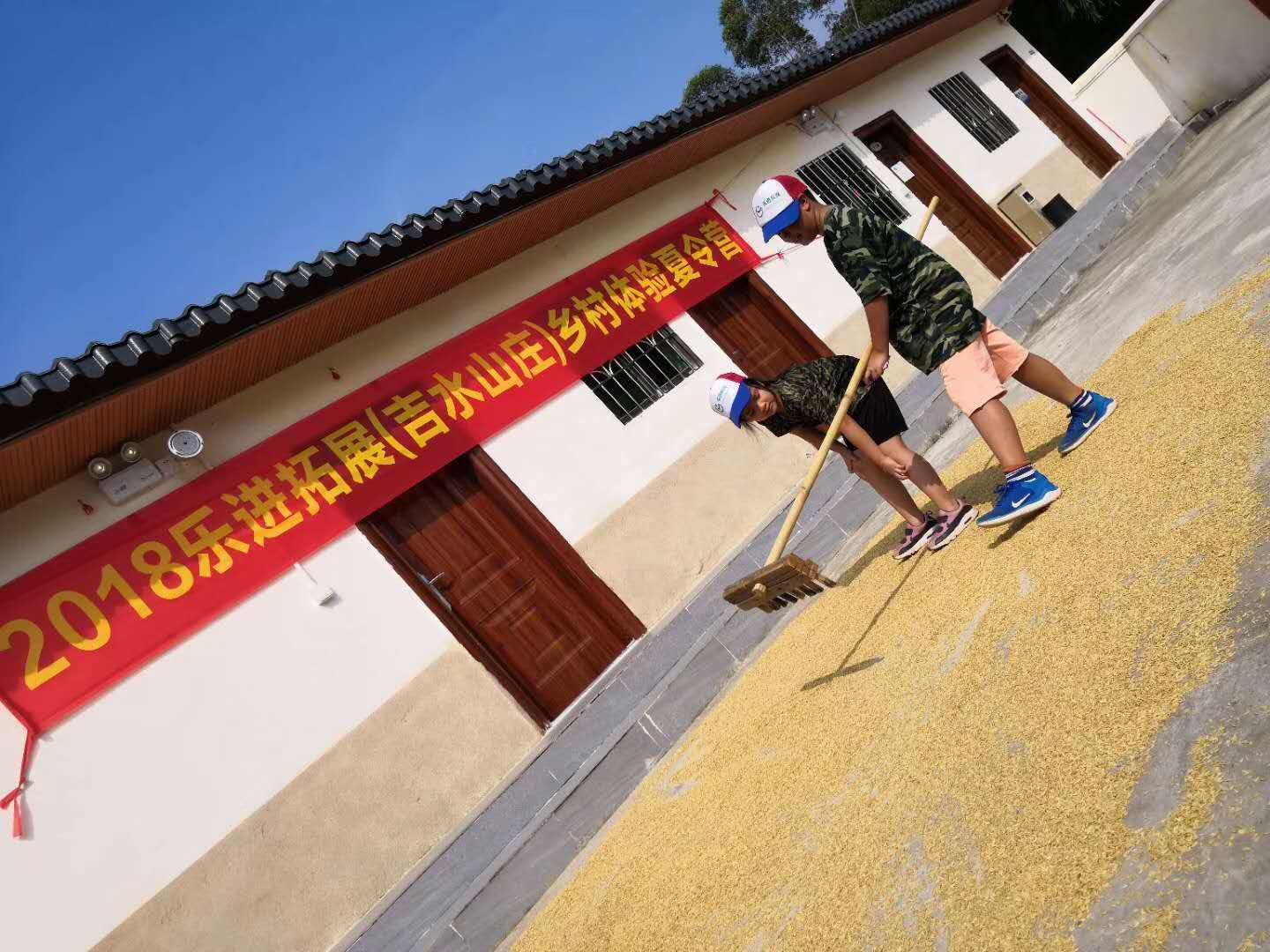 曬稻谷