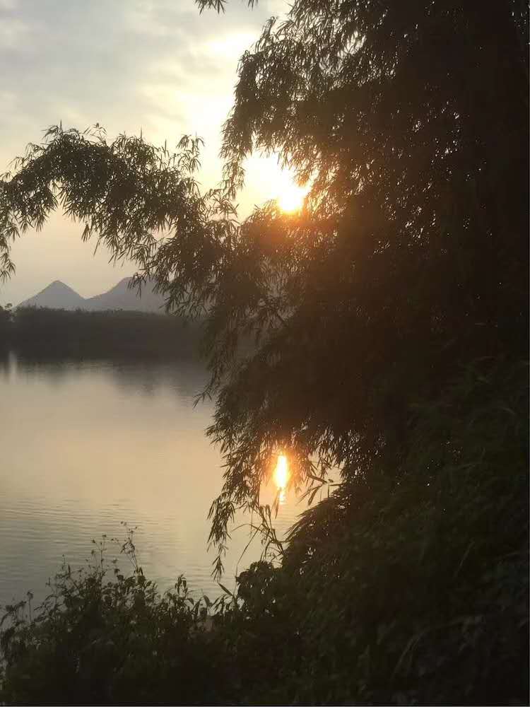 碧草連天